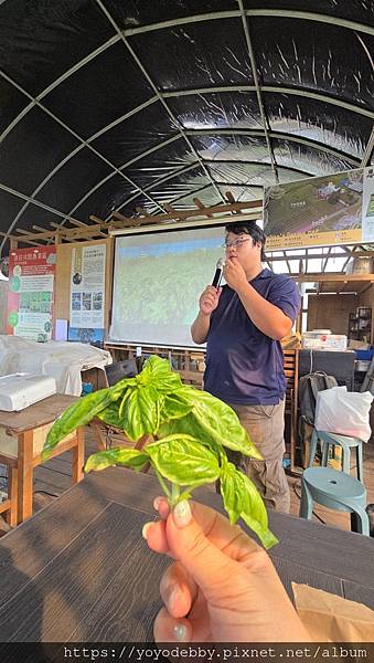 桃園大溪 手作青醬香、木作節奏響:大溪內柵的一日慢旅行 桃園大溪 手作青醬香、木作節奏響:大溪內柵的一日慢旅行