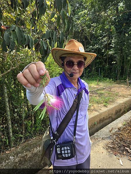 桃園大溪 手作青醬香、木作節奏響:大溪內柵的一日慢旅行 桃園大溪 手作青醬香、木作節奏響:大溪內柵的一日慢旅行