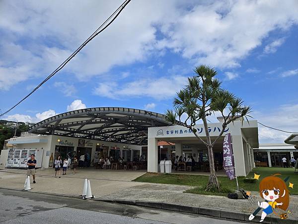 沖繩 Day 2不自駕也能一路玩北部!美麗海水族館、古宇利