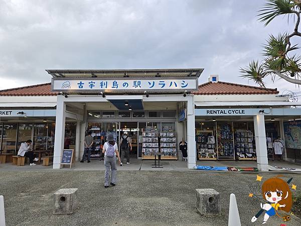 沖繩 Day 2不自駕也能一路玩北部!美麗海水族館、古宇利