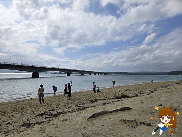 沖繩 Day 2不自駕也能一路玩北部!美麗海水族館、古宇利