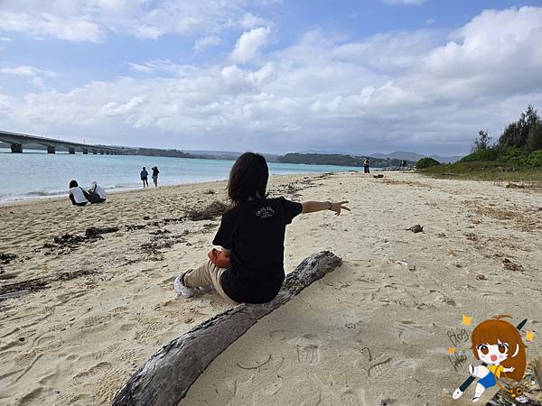 沖繩 Day 2不自駕也能一路玩北部!美麗海水族館、古宇利