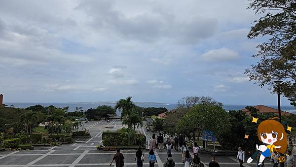 沖繩 Day 2不自駕也能一路玩北部!美麗海水族館、古宇利