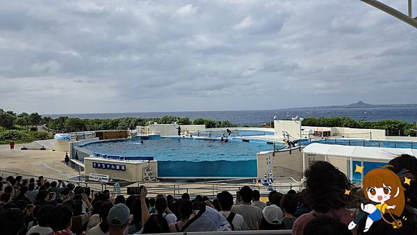 沖繩 Day 2不自駕也能一路玩北部!美麗海水族館、古宇利 沖繩 Day 2不自駕也能一路玩北部!美麗海水族館、古宇利