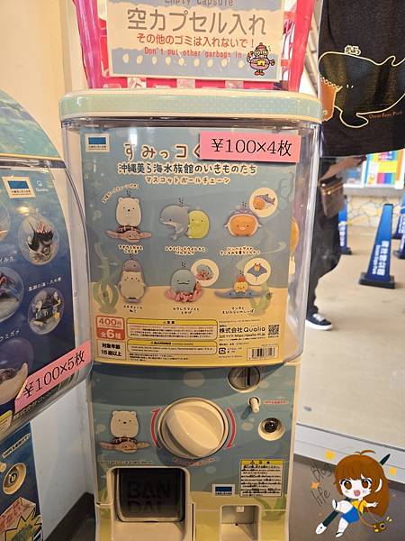 沖繩 Day 2不自駕也能一路玩北部!美麗海水族館、古宇利