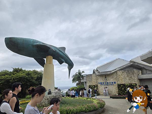 沖繩 Day 2不自駕也能一路玩北部!美麗海水族館、古宇利