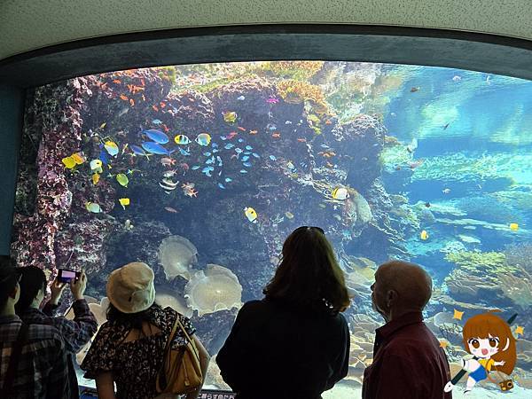 沖繩 Day 2不自駕也能一路玩北部!美麗海水族館、古宇利 沖繩 Day 2不自駕也能一路玩北部!美麗海水族館、古宇利