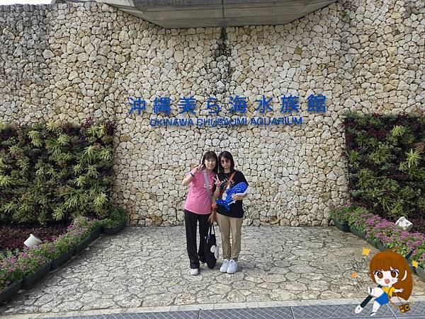 沖繩 Day 2不自駕也能一路玩北部!美麗海水族館、古宇利 沖繩 Day 2不自駕也能一路玩北部!美麗海水族館、古宇利