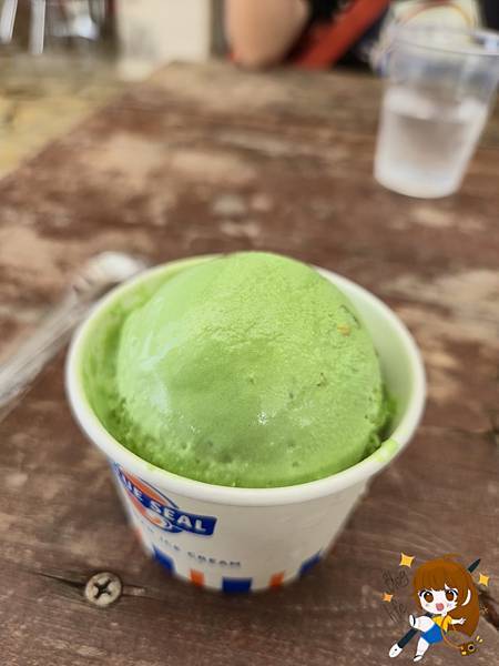 沖繩 Day 2不自駕也能一路玩北部!美麗海水族館、古宇利 沖繩 Day 2不自駕也能一路玩北部!美麗海水族館、古宇利