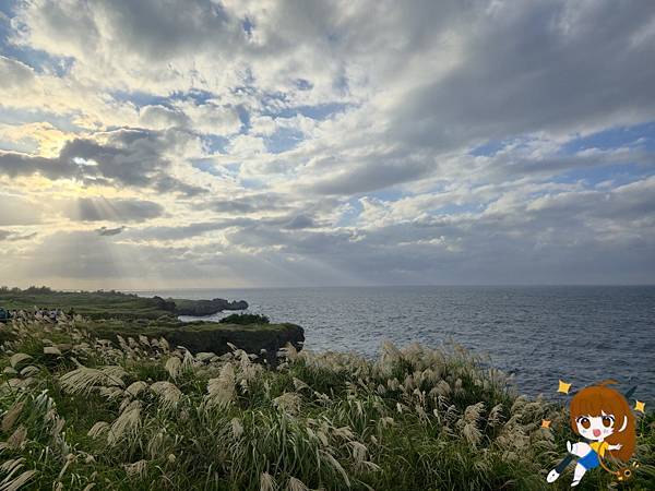 沖繩 Day 2不自駕也能一路玩北部!美麗海水族館、古宇利 沖繩 Day 2不自駕也能一路玩北部!美麗海水族館、古宇利