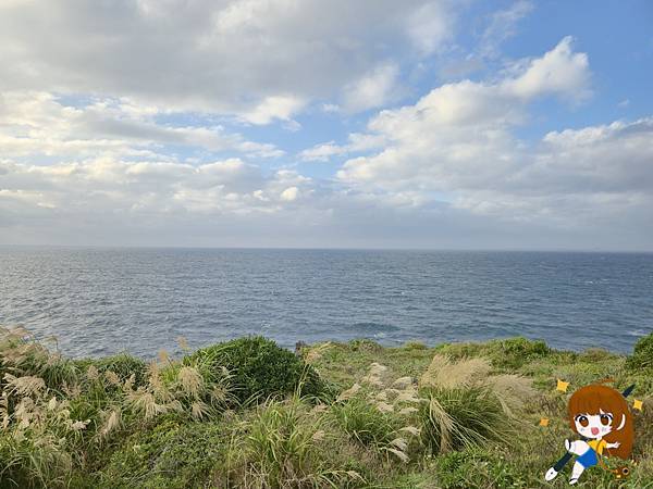 沖繩 Day 2不自駕也能一路玩北部!美麗海水族館、古宇利