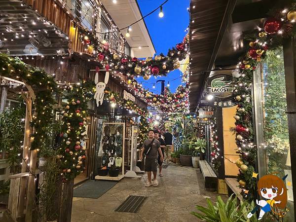 沖繩 Day 2不自駕也能一路玩北部!美麗海水族館、古宇利