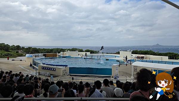 沖繩 Day 2不自駕也能一路玩北部!美麗海水族館、古宇利