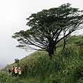 七星山往小油坑的路上