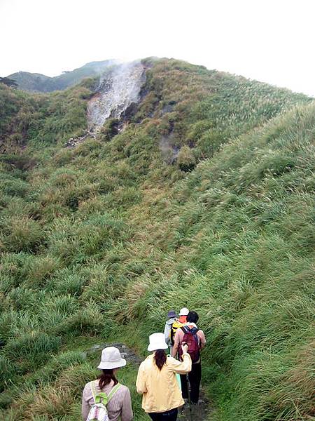 七星山往小油坑的路上