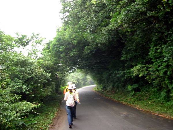 百拉口卡公路(前往大屯山)