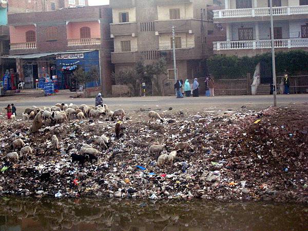 Dirty Nile at Cairo suburb