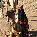 Bedouin girl with Camel kid