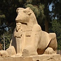 Sphinx at Karnak Temple