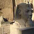 Luxor Temple - Ramsess 2