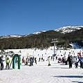 Thredbo 滑雪場