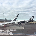 p_2015NZ_south20151101_217.jpg