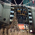 20081209 遠企聖誕樹
