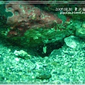p_IMG_8589.jpg