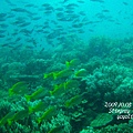 p_IMG_9606.jpg