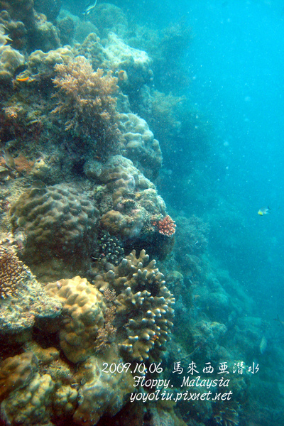 p_IMG_9861.jpg
