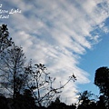 p_IMG_0832.jpg
