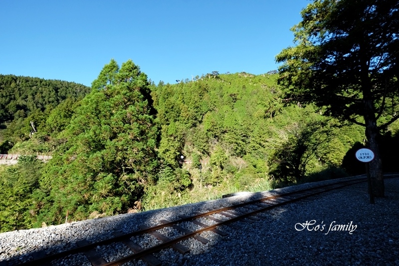 太平山蹦蹦車22.JPG