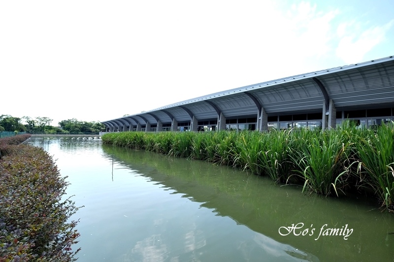 甲鳥園13.JPG