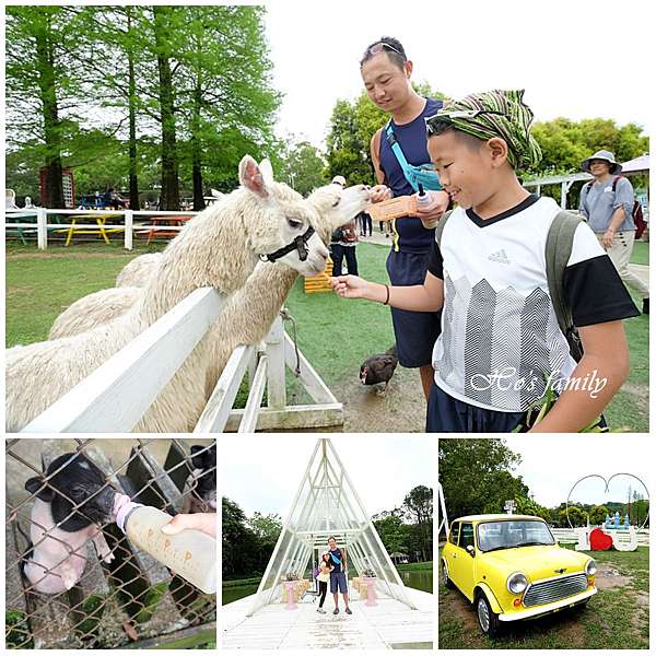 全台特色農牧場 超夯親子景點 人氣親子農場找動物玩耍 近距離接觸餵食 農事體驗玩自然 1 1 3 玩學樂生活 痞客邦