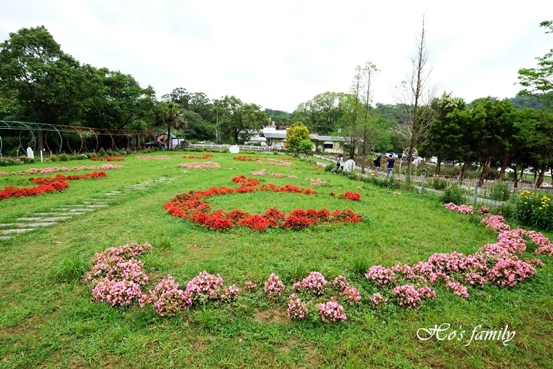 【桃園親子農場】富田香草休閒農場(富田花園農場)2.JPG