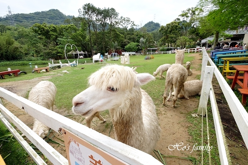 【桃園親子農場】富田香草休閒農場(富田花園農場)9.JPG