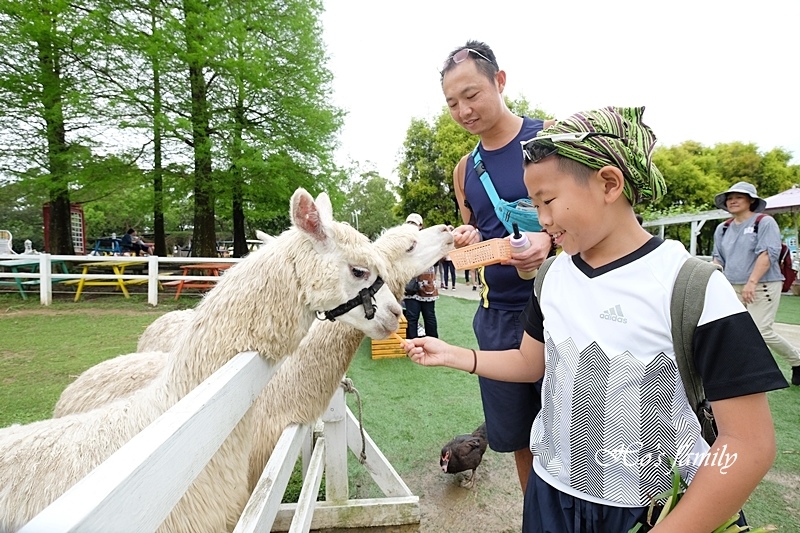 【桃園親子農場】富田香草休閒農場(富田花園農場)12.JPG