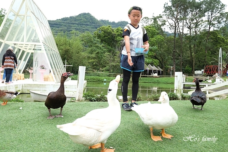 【桃園親子農場】富田香草休閒農場(富田花園農場)16.JPG