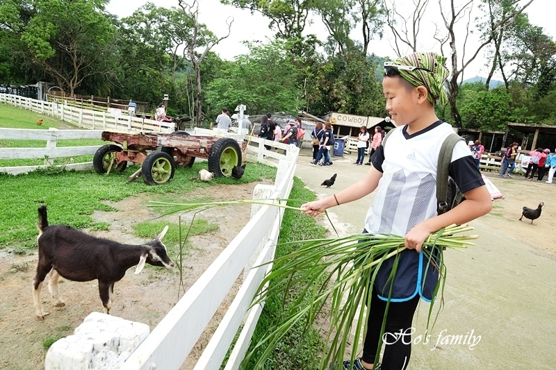 【桃園親子農場】富田香草休閒農場(富田花園農場)18.JPG