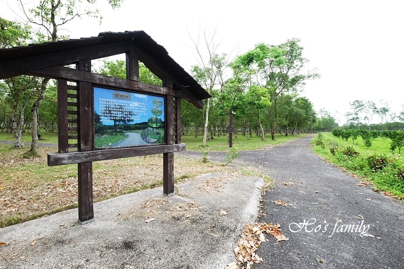 【花蓮親子景點】富興社區森林小火車23.JPG