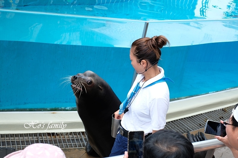 【花蓮親子景點2019】花蓮遠雄海洋公園4.JPG