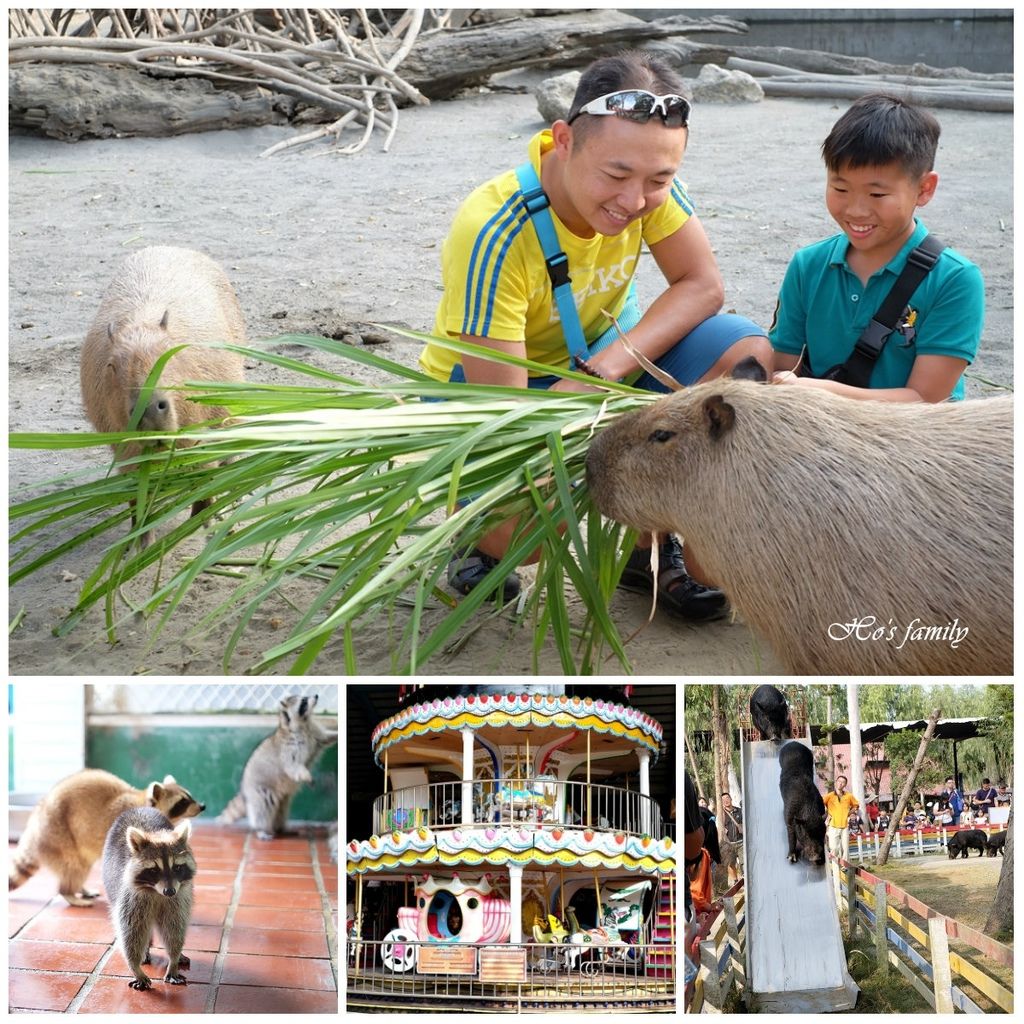 【台南親子景點】頑皮世界野生動物園.jpg