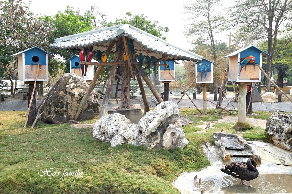 【台南親子景點】頑皮世界野生動物園3.JPG