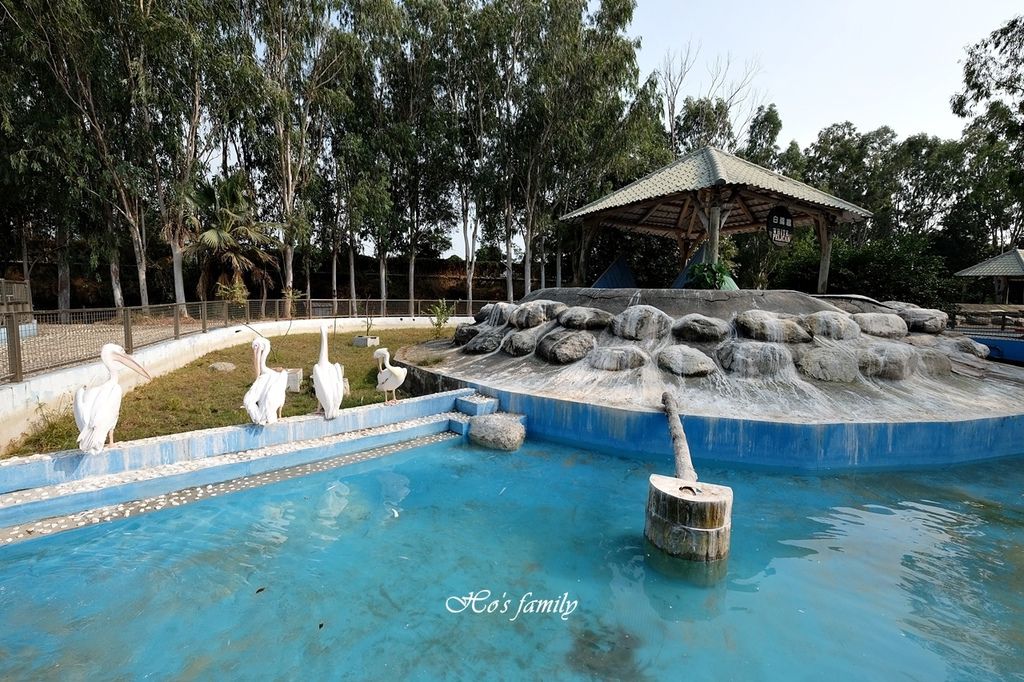 【台南親子景點】頑皮世界野生動物園8.JPG