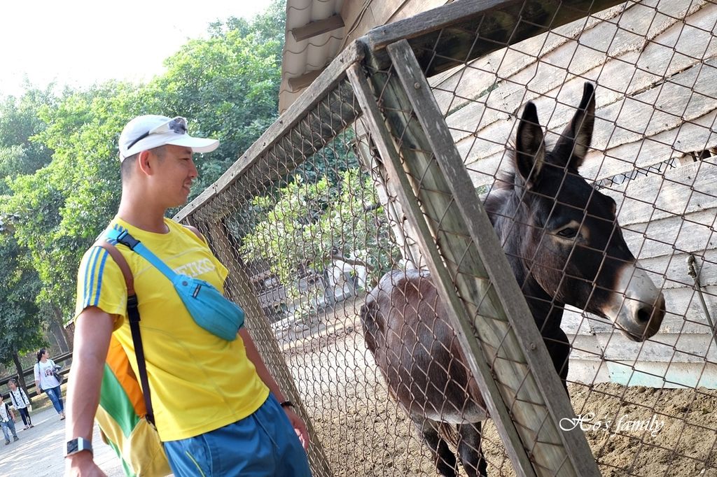 【台南親子景點】頑皮世界野生動物園24.JPG