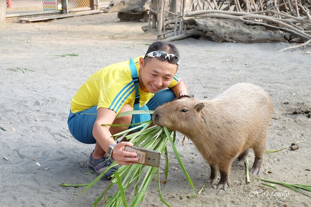 【台南親子景點】頑皮世界野生動物園43.JPG