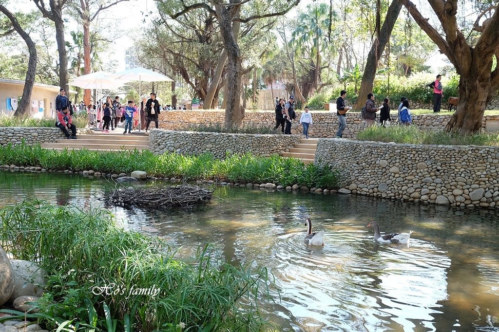 【新竹親子景點】新竹市立動動園8.JPG