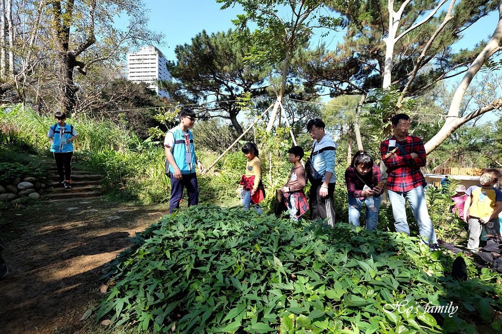 【新竹親子景點】新竹市立動動園11.JPG