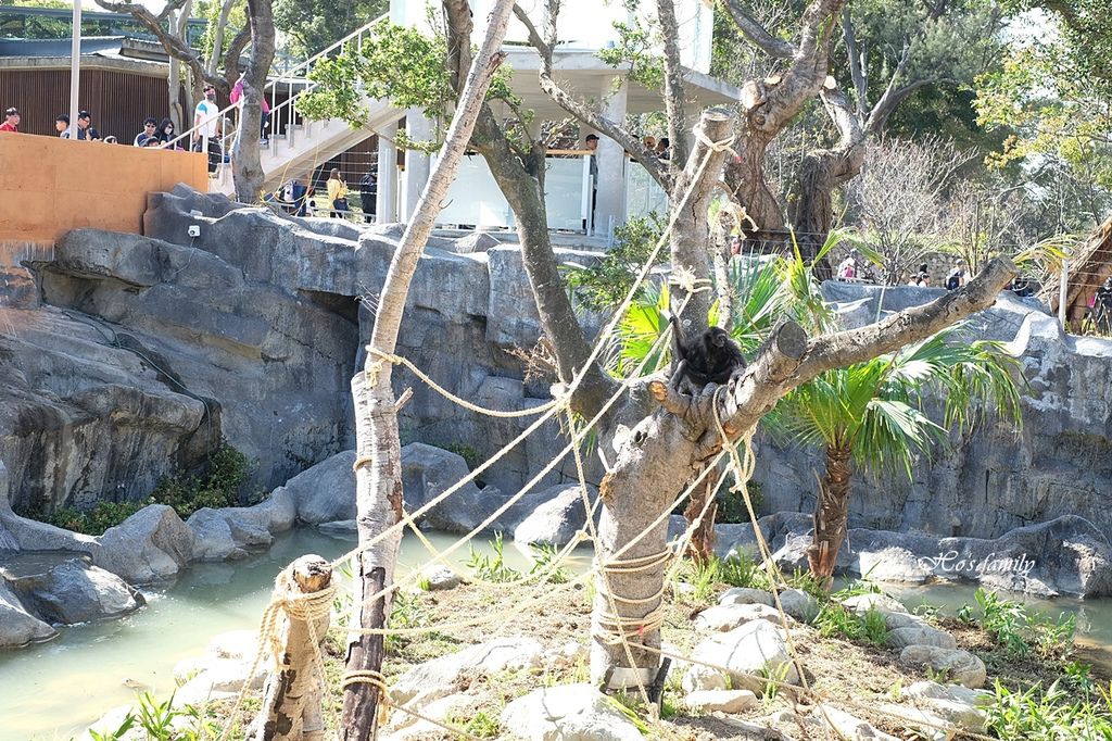 【新竹親子景點】新竹市立動動園23.JPG