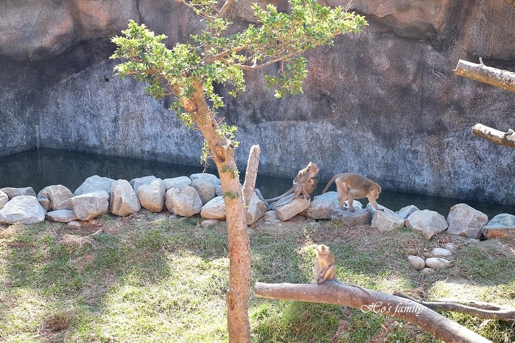 【新竹親子景點】新竹市立動動園25.JPG